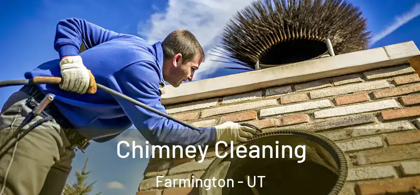  Chimney Cleaning Farmington - UT
