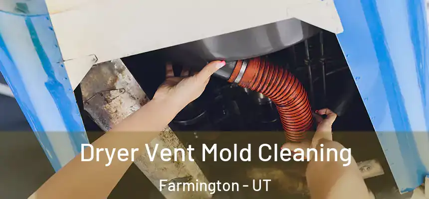  Dryer Vent Mold Cleaning Farmington - UT