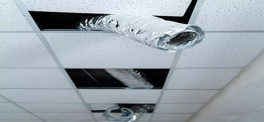 Our Air Duct Pet Hair Removal Services in Farmington, UT