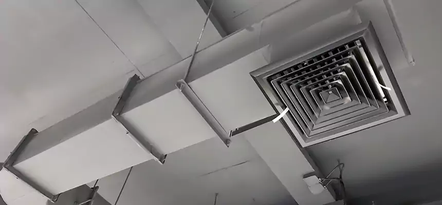 Our Pest Removal From Ducts Services in Farmington, UT