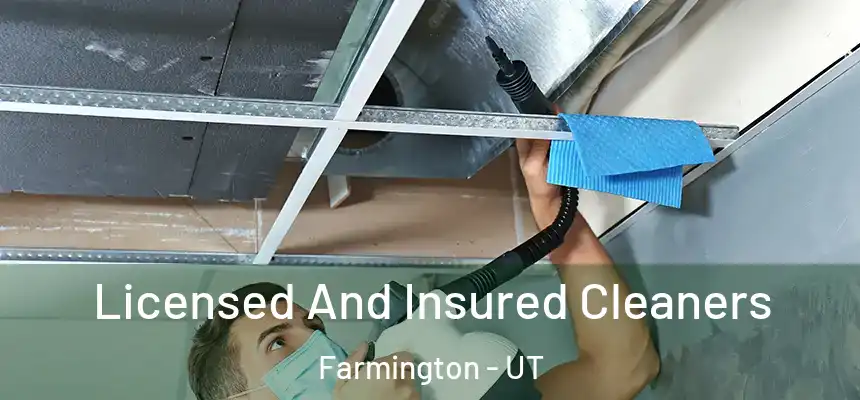  Licensed And Insured Cleaners Farmington - UT