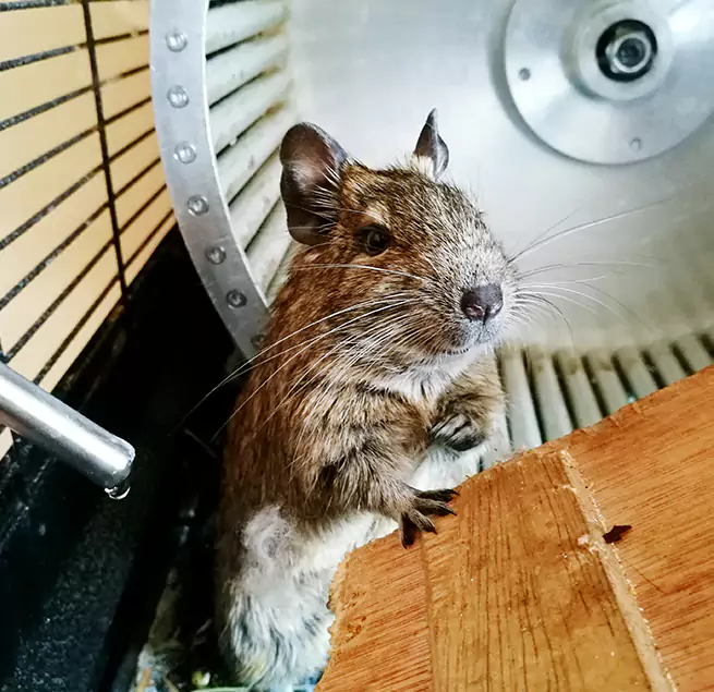 Why Homeowners & Businesses Trust Us Farmington, UT?